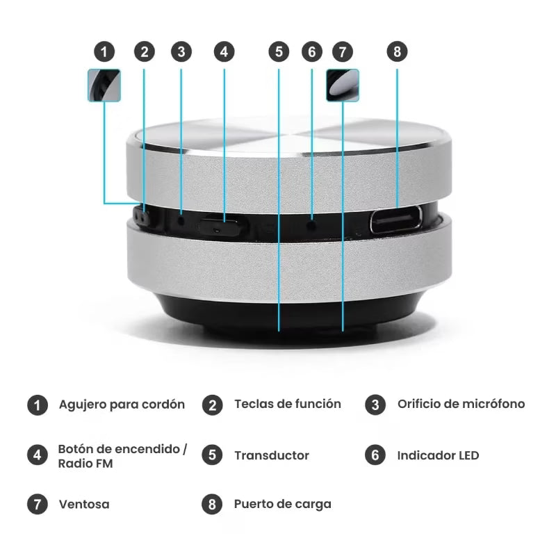 Magnet Speaker
