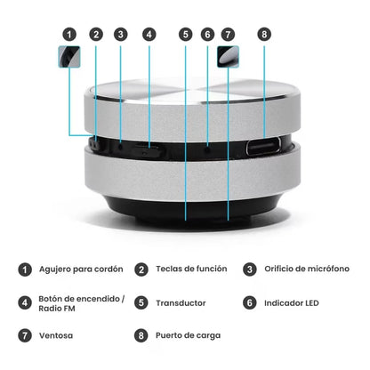 Magnet Speaker