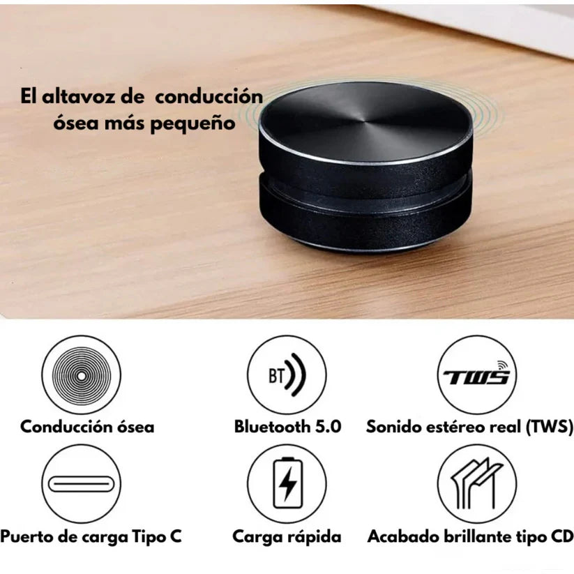 Magnet Speaker